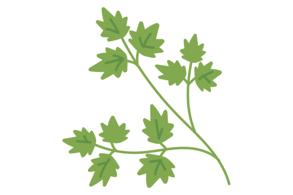 Download Parsley Icon. Green Cooking Ingredient. - Ingredient Collection