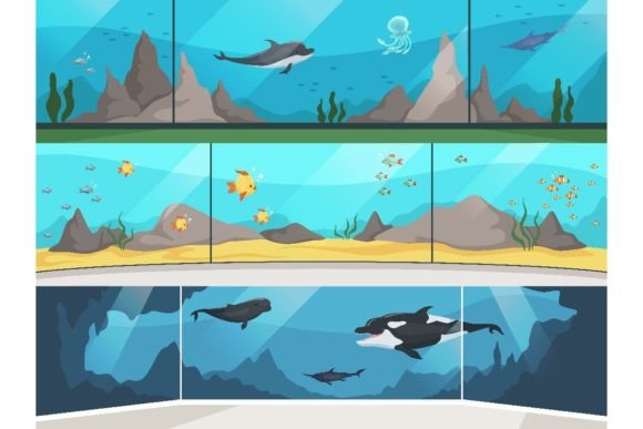 Download Museum Aquarium. Underwater Zoo Children - Children Collection